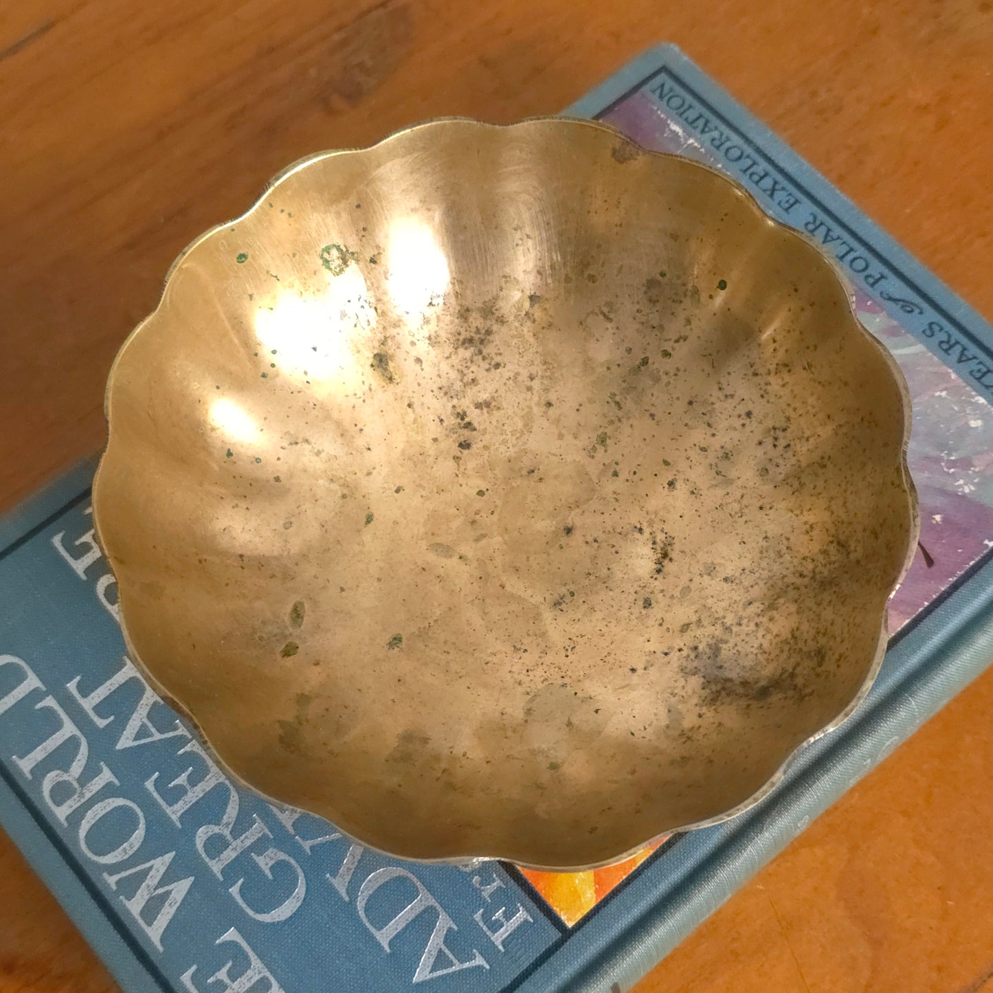 Interior detail of Solid Brass Scalloped Bowl