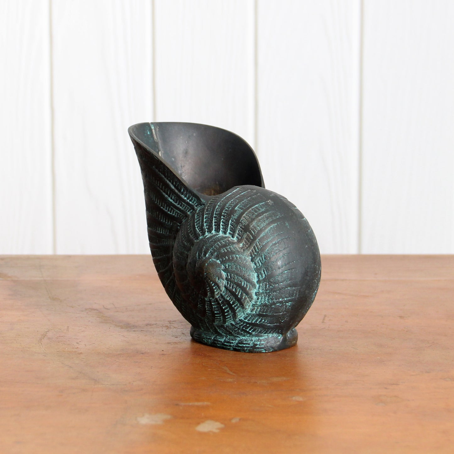 Decorative bronze nautilus shell