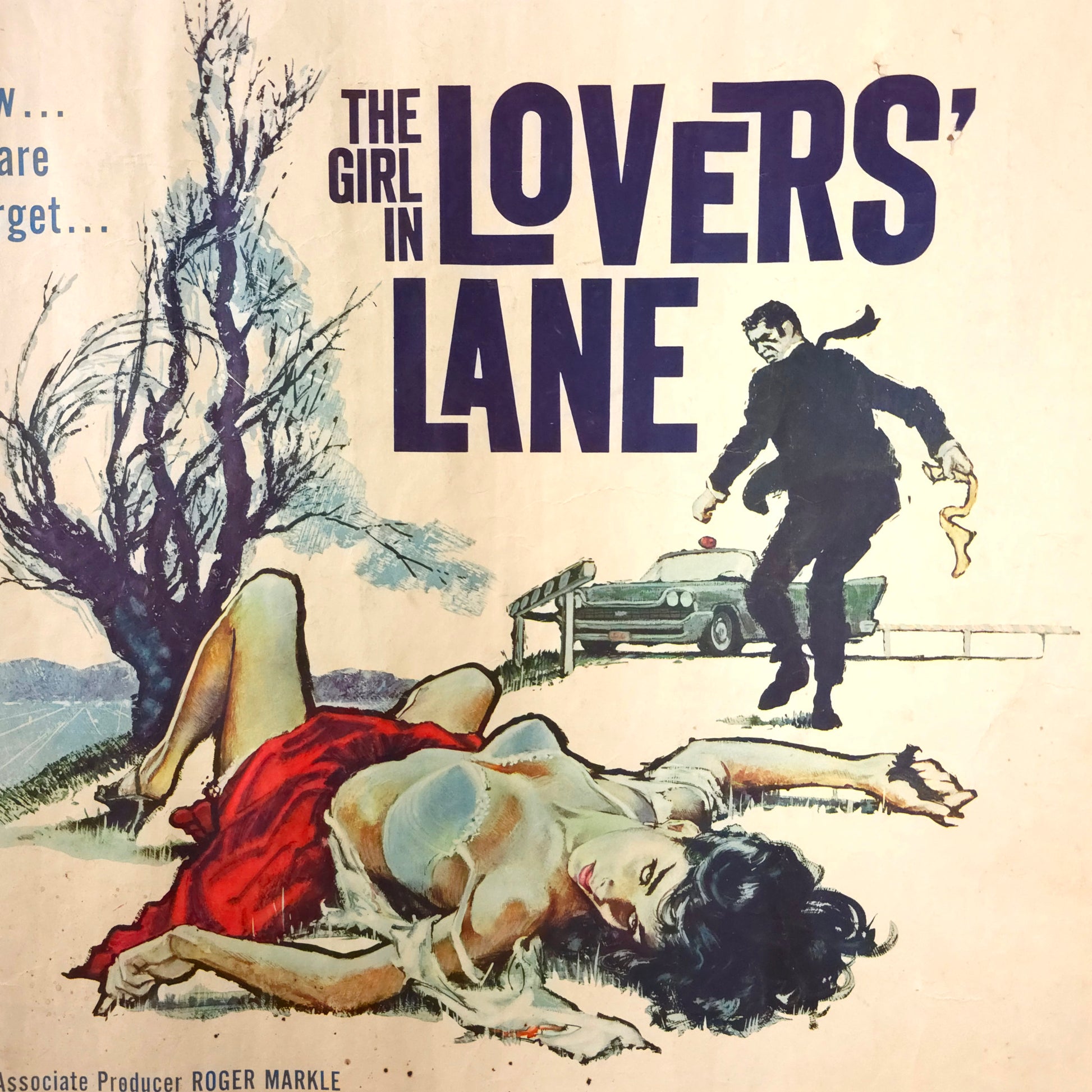 Detail of Vintage 1960 "Girl In Lovers' Lane" Movie Poster