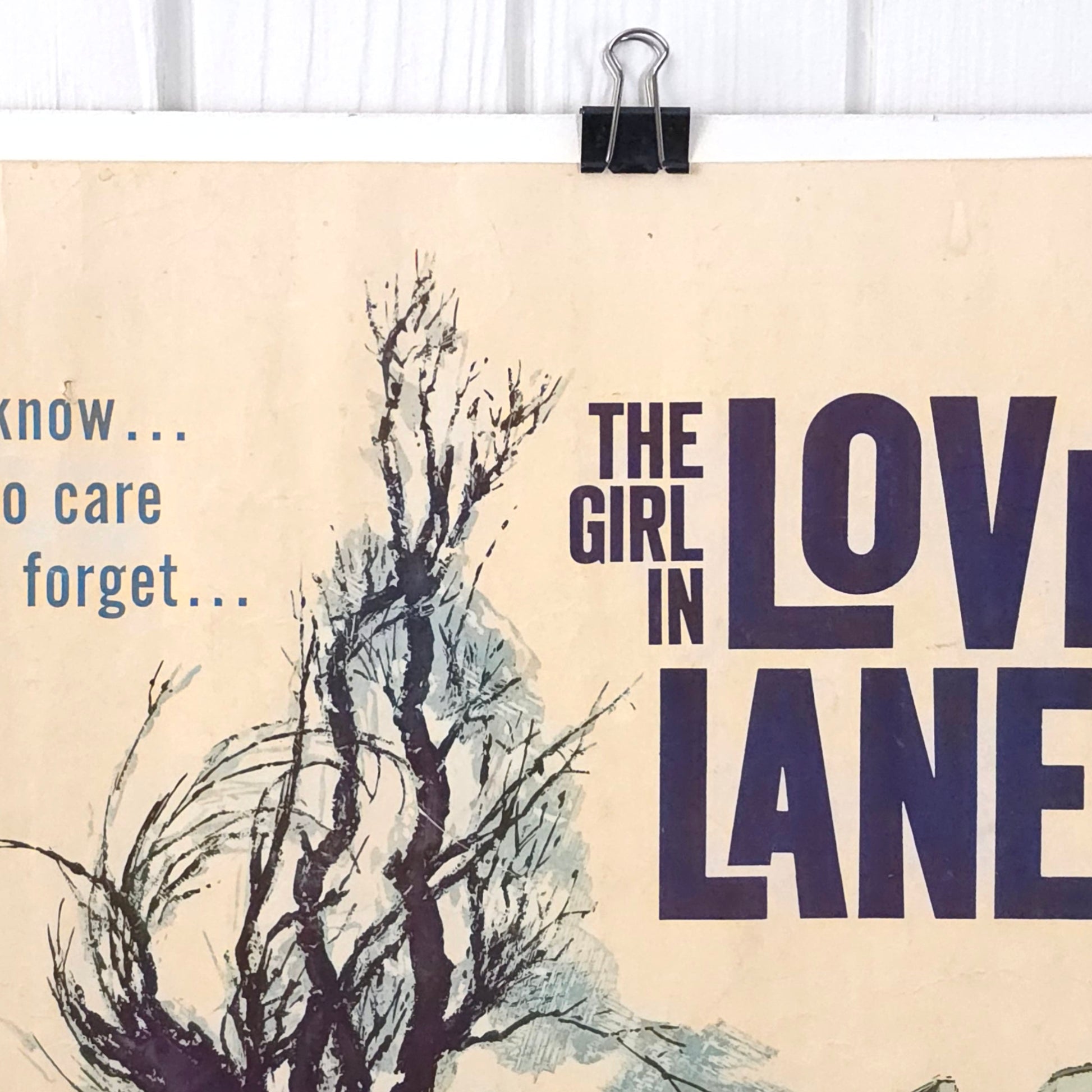 Detail of Vintage 1960 "Girl In Lovers' Lane" Movie Poster